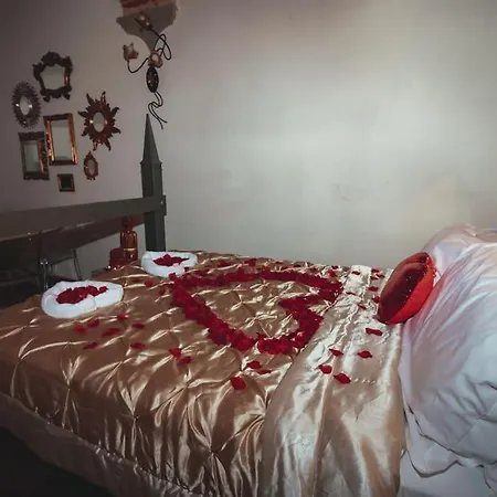 Apartment Nest In *